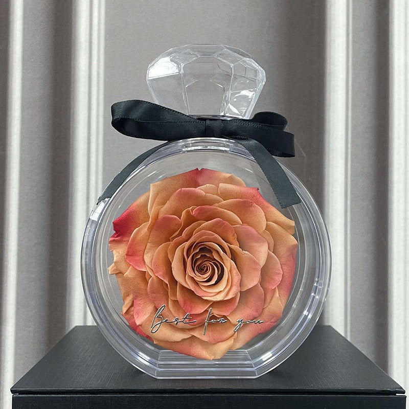 Natural Eternal Flower Ornaments Transparent Cover Dried Rose Gift Box For Christmas New Year Valentine's Day Home Decor